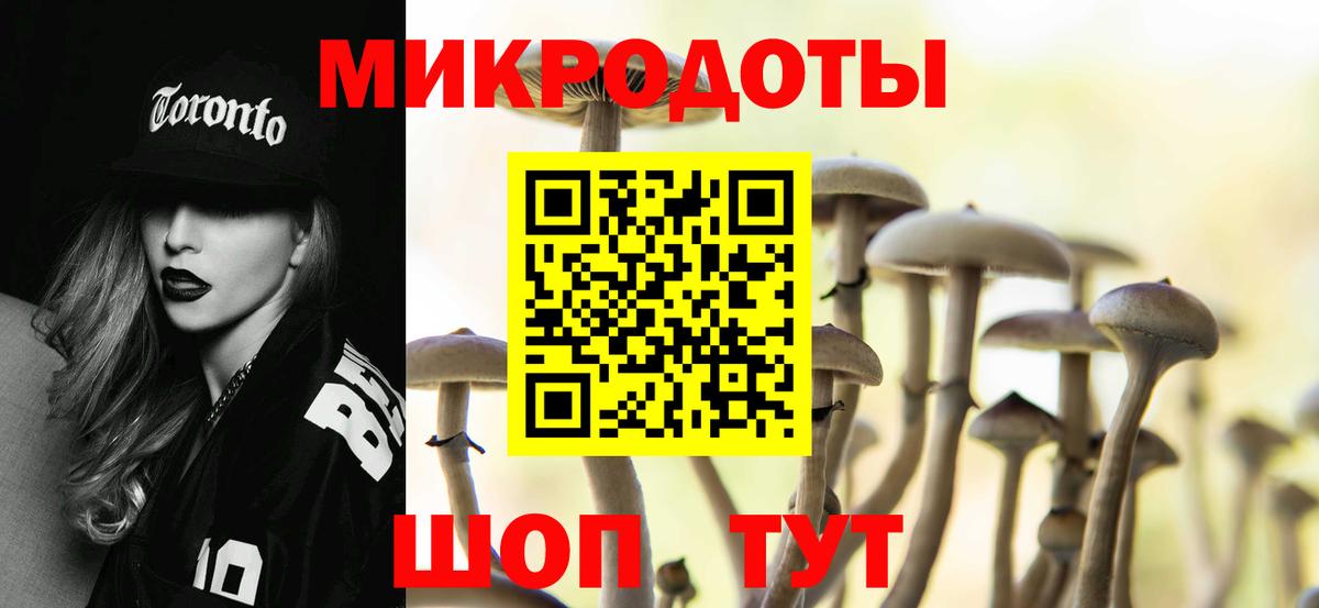 Псилоцибиновые грибы Psilocybine cubensis Лобня